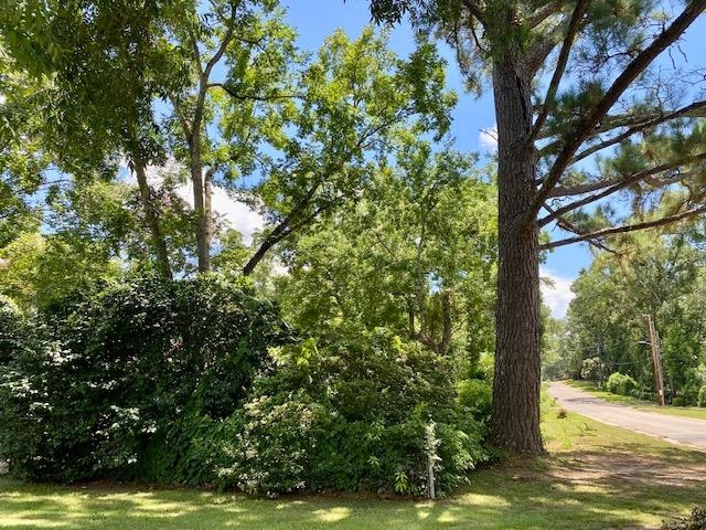 702 Winn Avenue Fairhope, AL 36532 - Photo 37 of 40