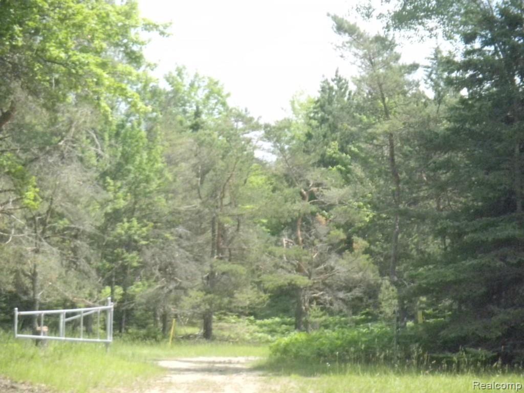 8512 Irwin Road Atlanta, MI 49709 - Photo 23 of 30 DSCN3993.jpg