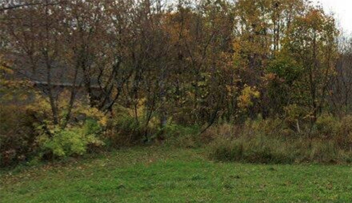 7999 Broadway Road Wolcott, NY 14590 - Photo 2 of 7