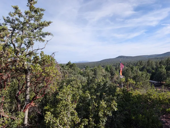 $175,000 | 0 Woodshire Dr Pine, Pine, AZ 85544