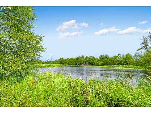a view of a lake with a big yard