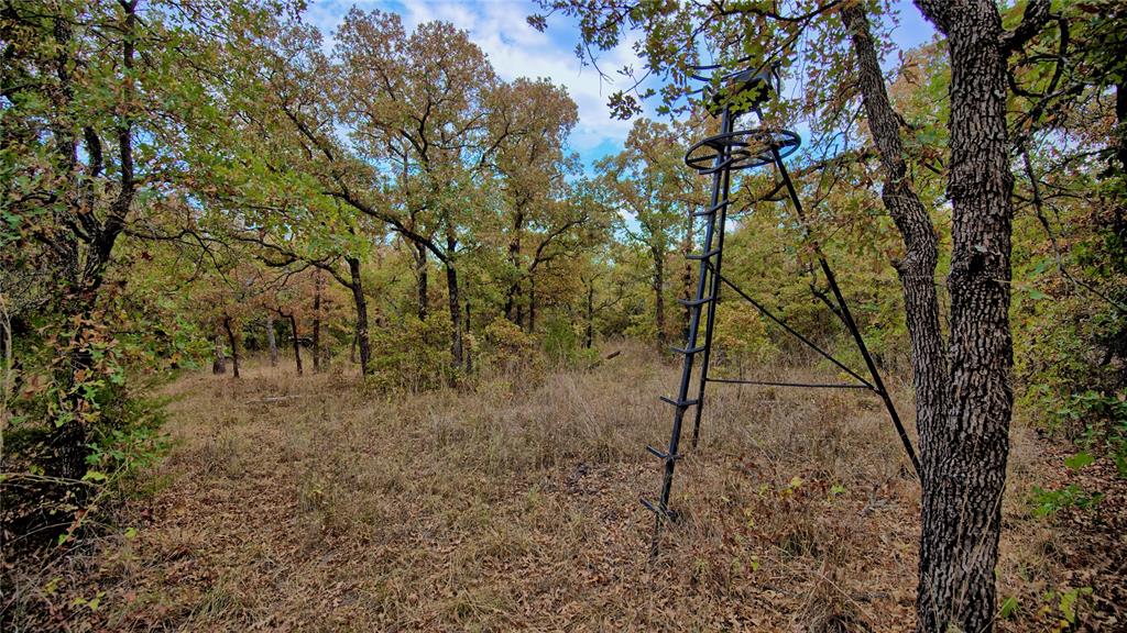 Tbd Dixie School Road Nocona, TX 76255 - Photo 19 of 38 Gallery Image 19