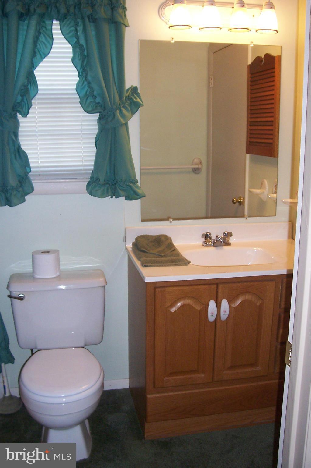 7119 Olivia Road Baltimore, MD 21220 - Photo 15 of 30 Bath (Master)