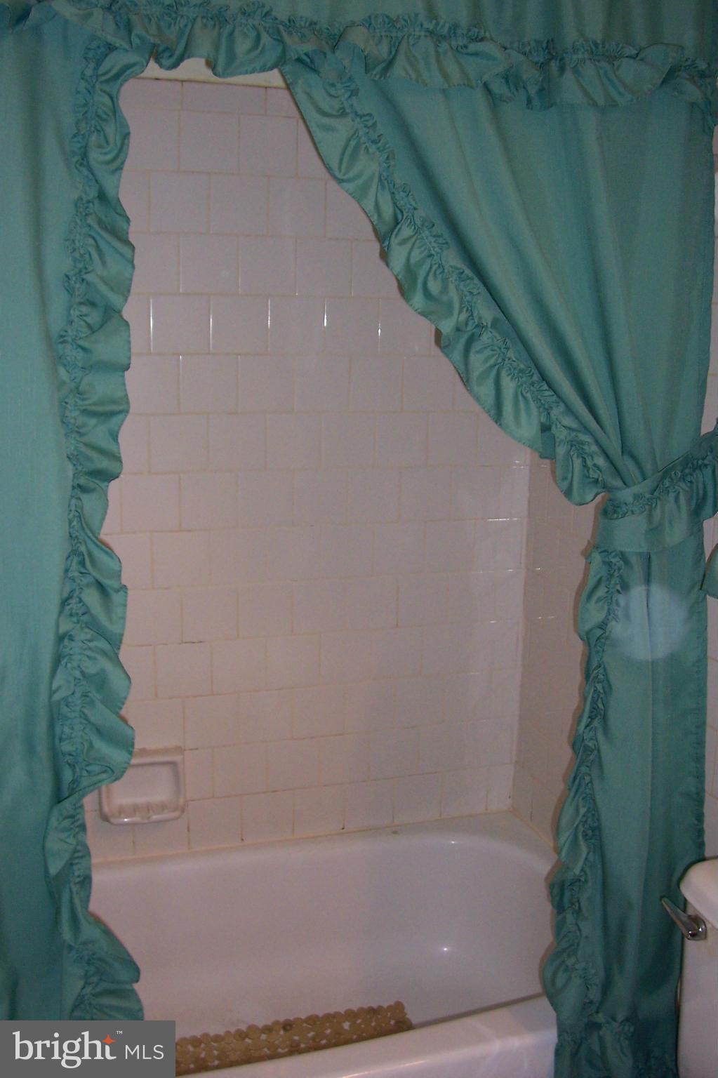 7119 Olivia Road Baltimore, MD 21220 - Photo 16 of 30 Bath (Master)