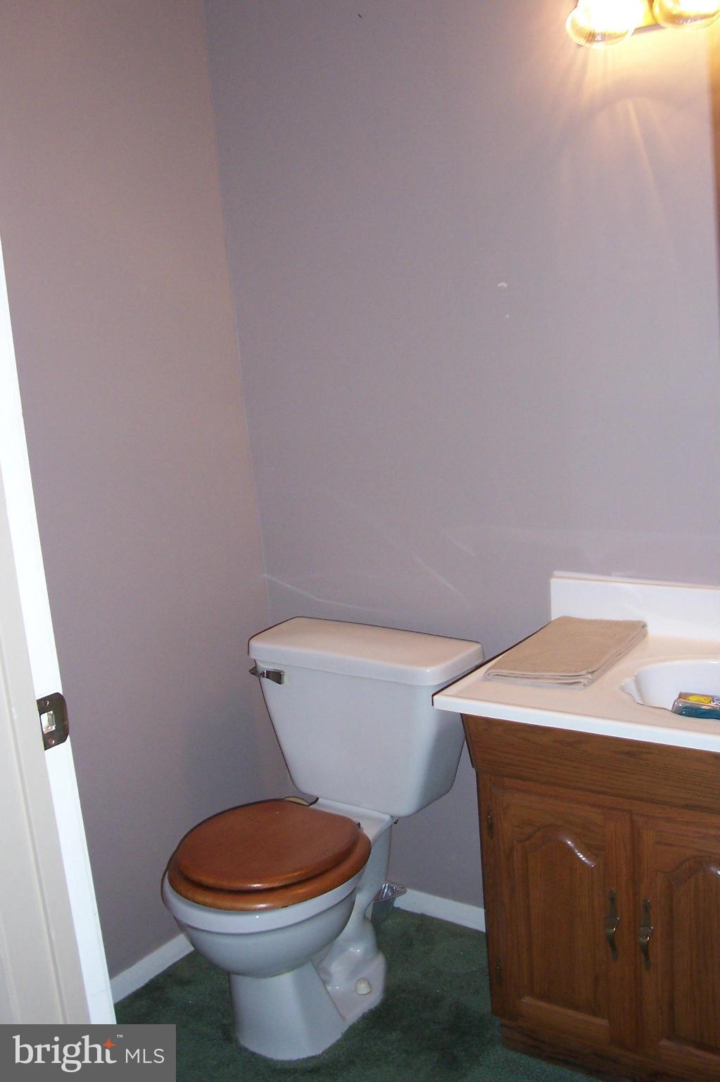 7119 Olivia Road Baltimore, MD 21220 - Photo 23 of 30 Bath