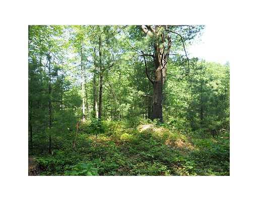 0 Winter Harbor Road Kennebunkport, ME 04046 - Photo 1 of 1 Land.