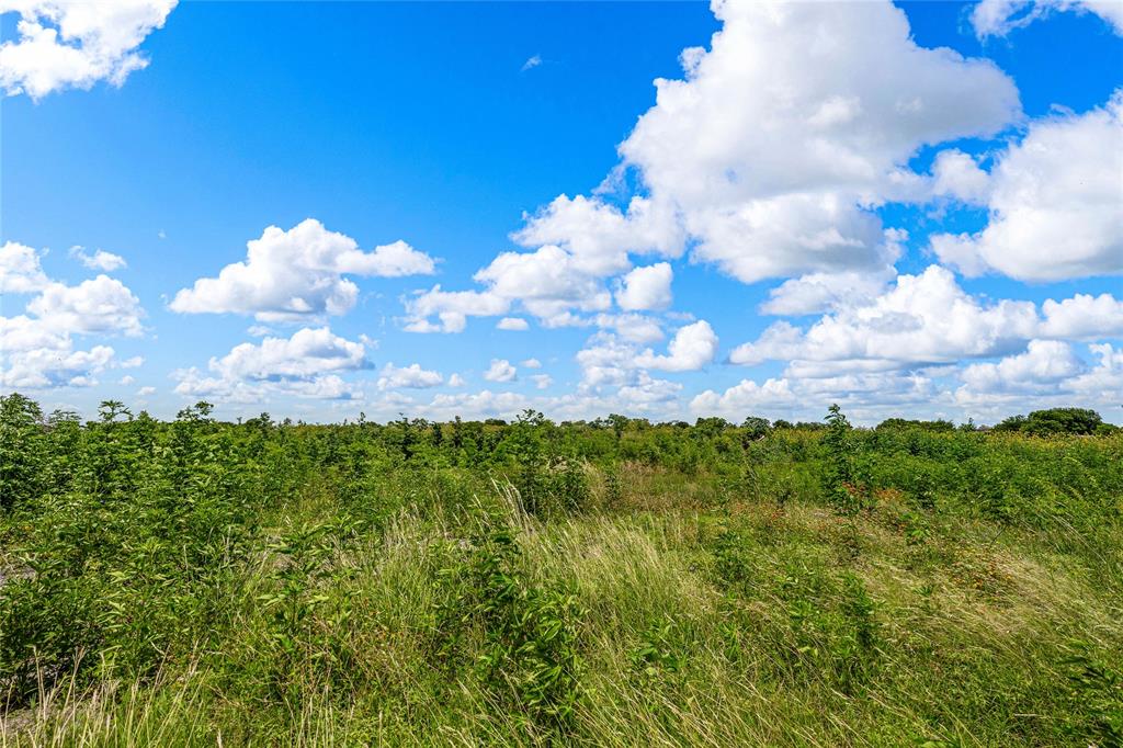 To Be Determined North To Be Determined N 18th Street Waco, TX 76708 - Photo 14 of 16 a view of a bunch of trees