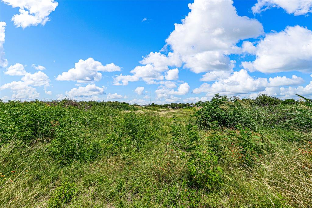 To Be Determined North To Be Determined N 18th Street Waco, TX 76708 - Photo 16 of 16 a view of a flower in a garden