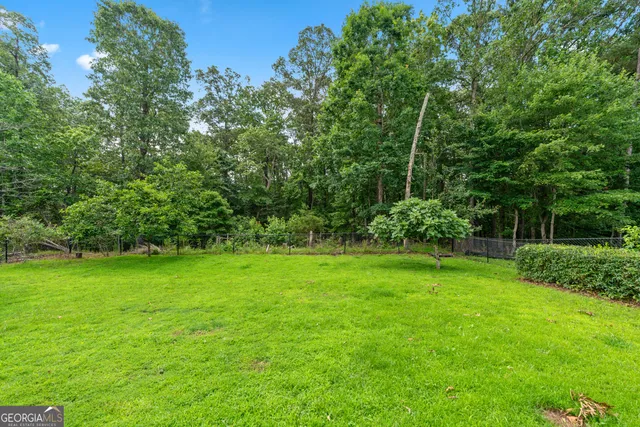 a view of a lush green space