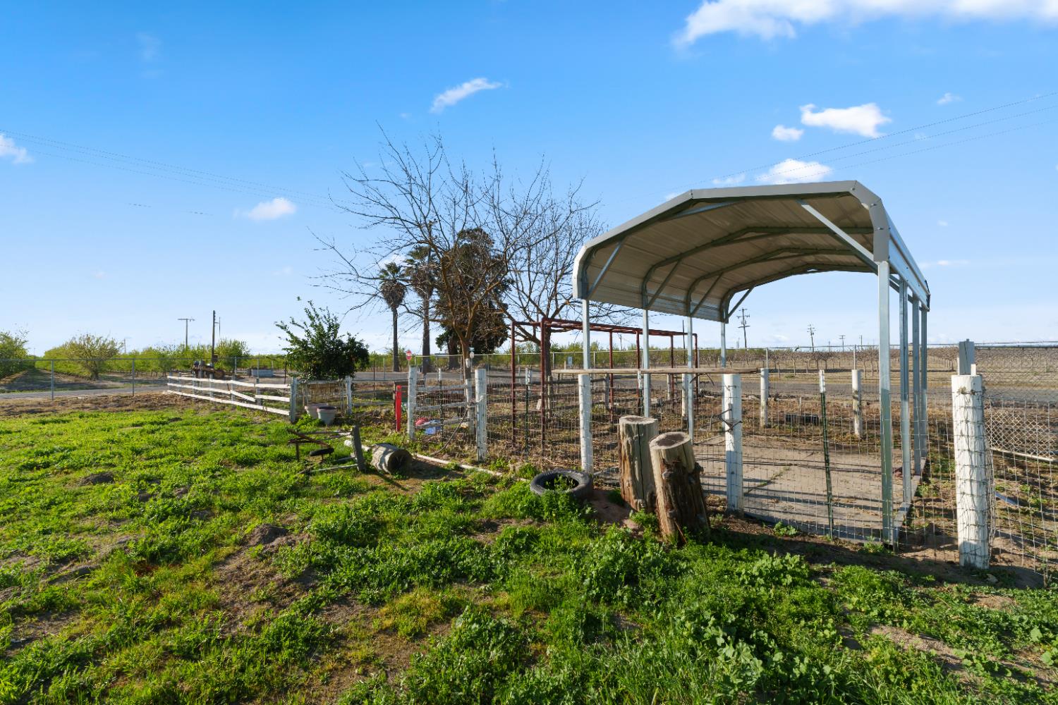2938 North Trinity Avenue Kerman, CA 93630 - Photo 37 of 38 a view of a backyard