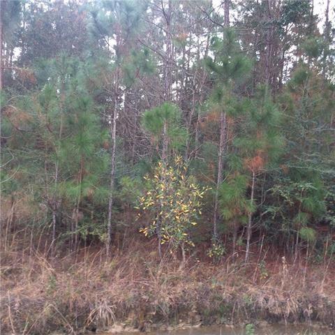 0 Ogise Richardson Road Bush, LA 70431 - Photo 2 of 2