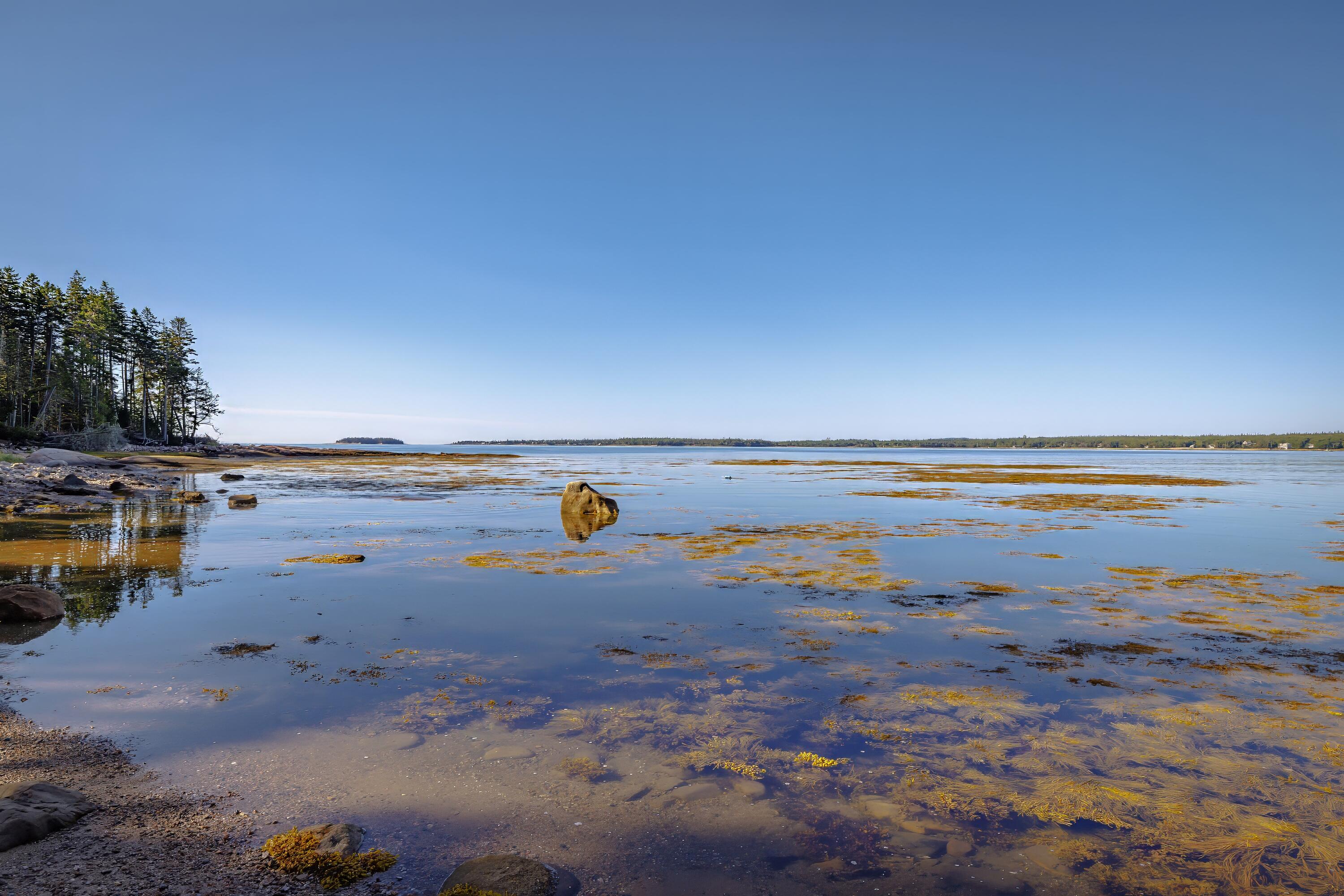 209 Wilderness Shore Road South Steuben, ME 04680 - Photo 50 of 79 49- 209 Wilderness Shore Road HiRes-DTP