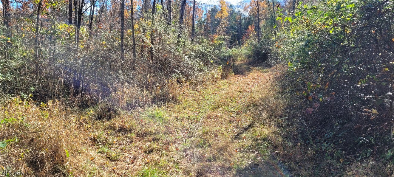 Duncan Run Road Philo, OH 43771 - Photo 15 of 32