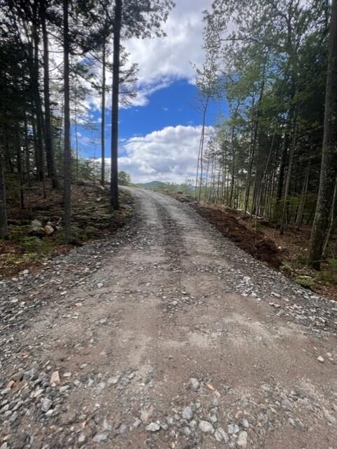 15 Ripps Trail Bethel, ME 04217 - Photo 43 of 45 thumbnail_IMG_0783 (1)