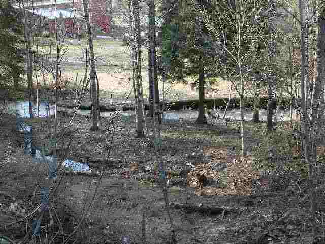25302 North River Terrace Road Chattaroy, WA 99003 - Photo 9 of 9 Gallery Image 9