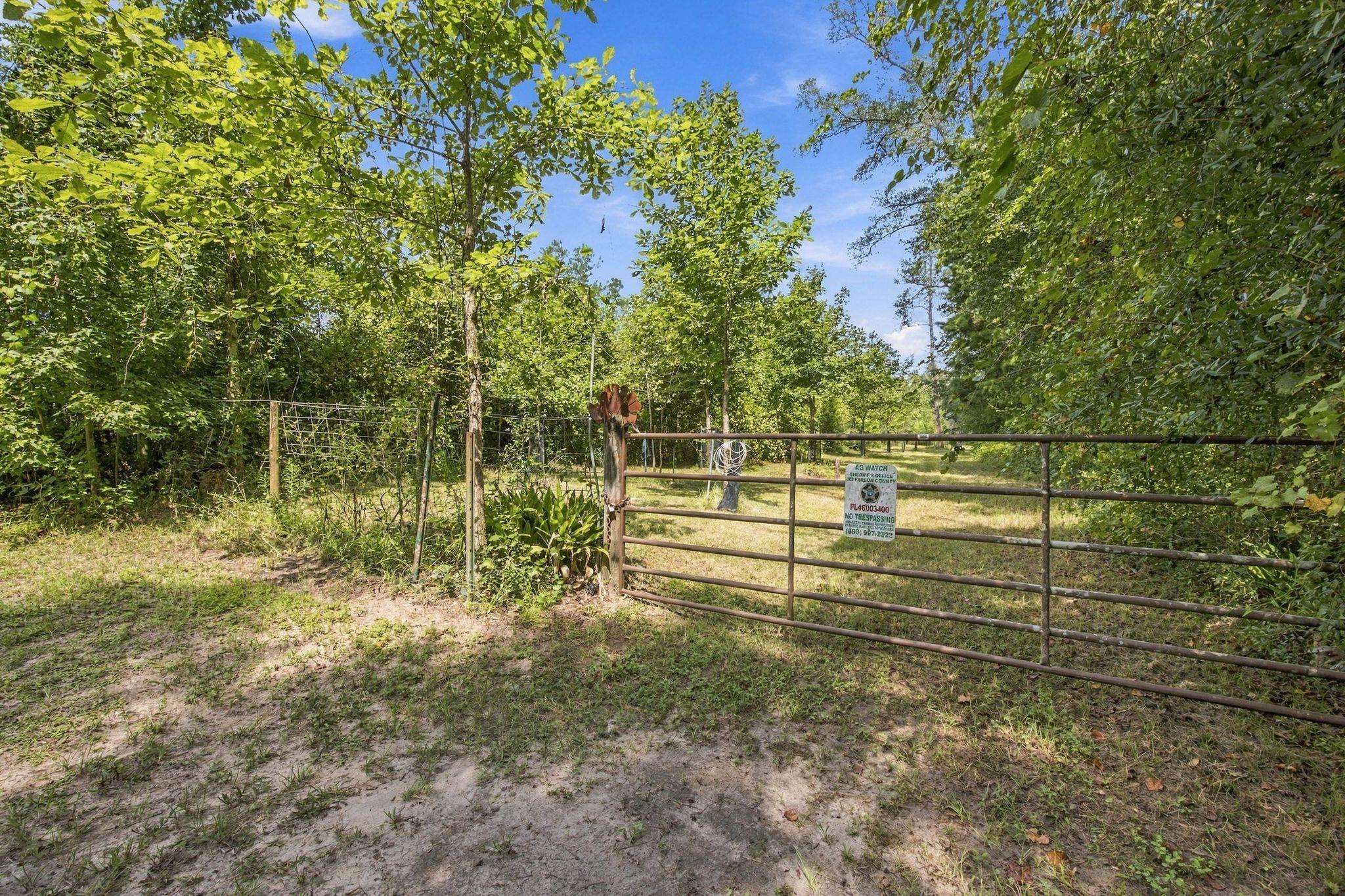 Lot 16 Johnny Road Lamont, FL 32336 - Photo 11 of 54 Gallery Image 11