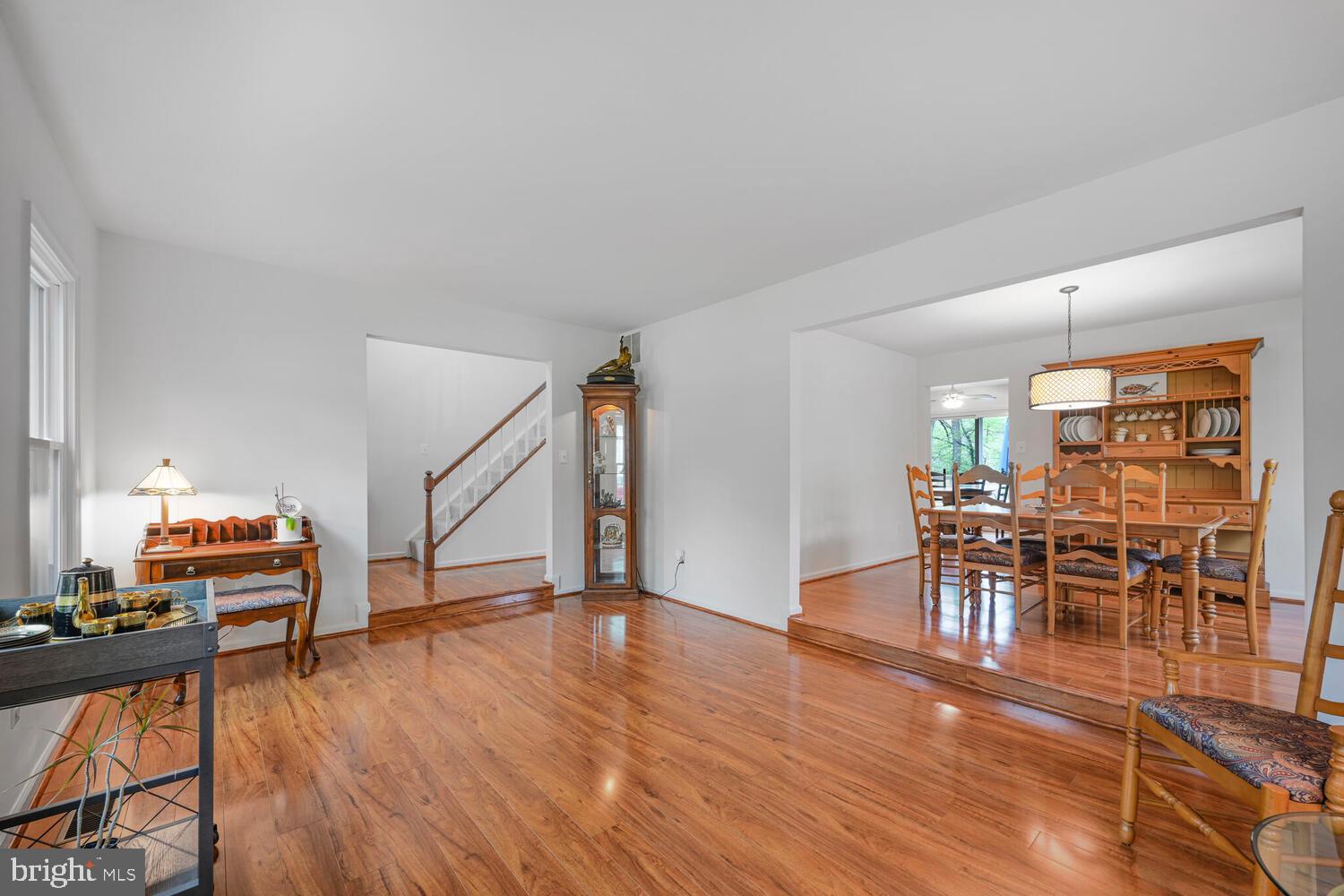 513 Cosgrave Way Silver Spring, MD 20902 - Photo 8 of 48 LIVING ROOM LOOKING INTO FOYER