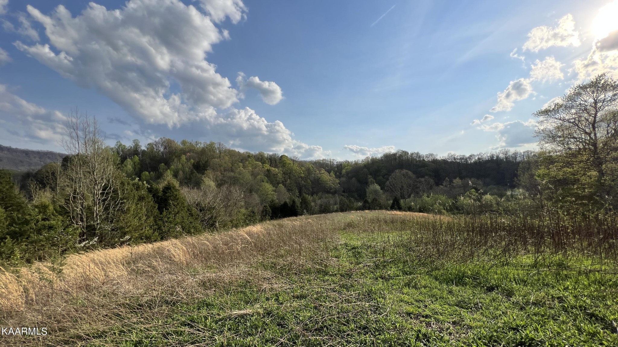 1560 Dripping Springs Road Seymour, TN 37865 - Photo 39 of 46