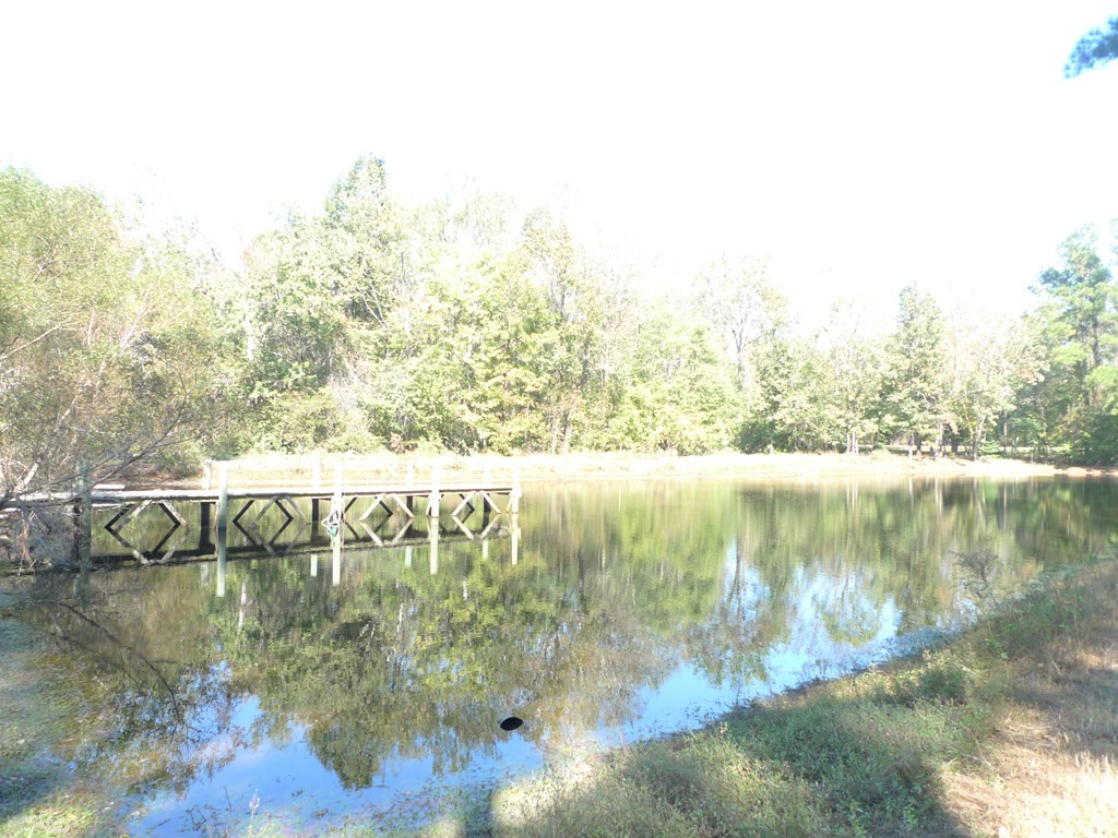 7016 Old State Road Holly Hill, SC 29059 - Photo 24 of 25 pond