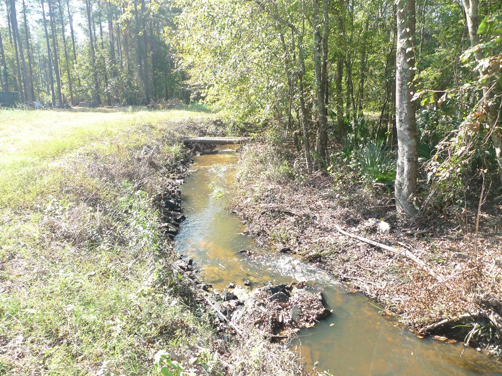 7016 Old State Road Holly Hill, SC 29059 - Photo 25 of 25 creek