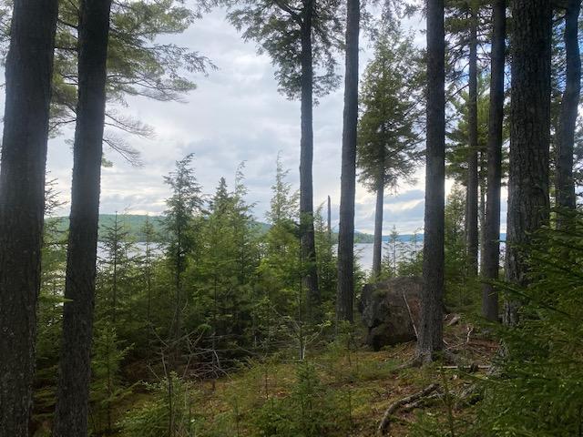 1068 Black Point Road Beaver Cove, ME 04441 - Photo 10 of 70 IMG_5448