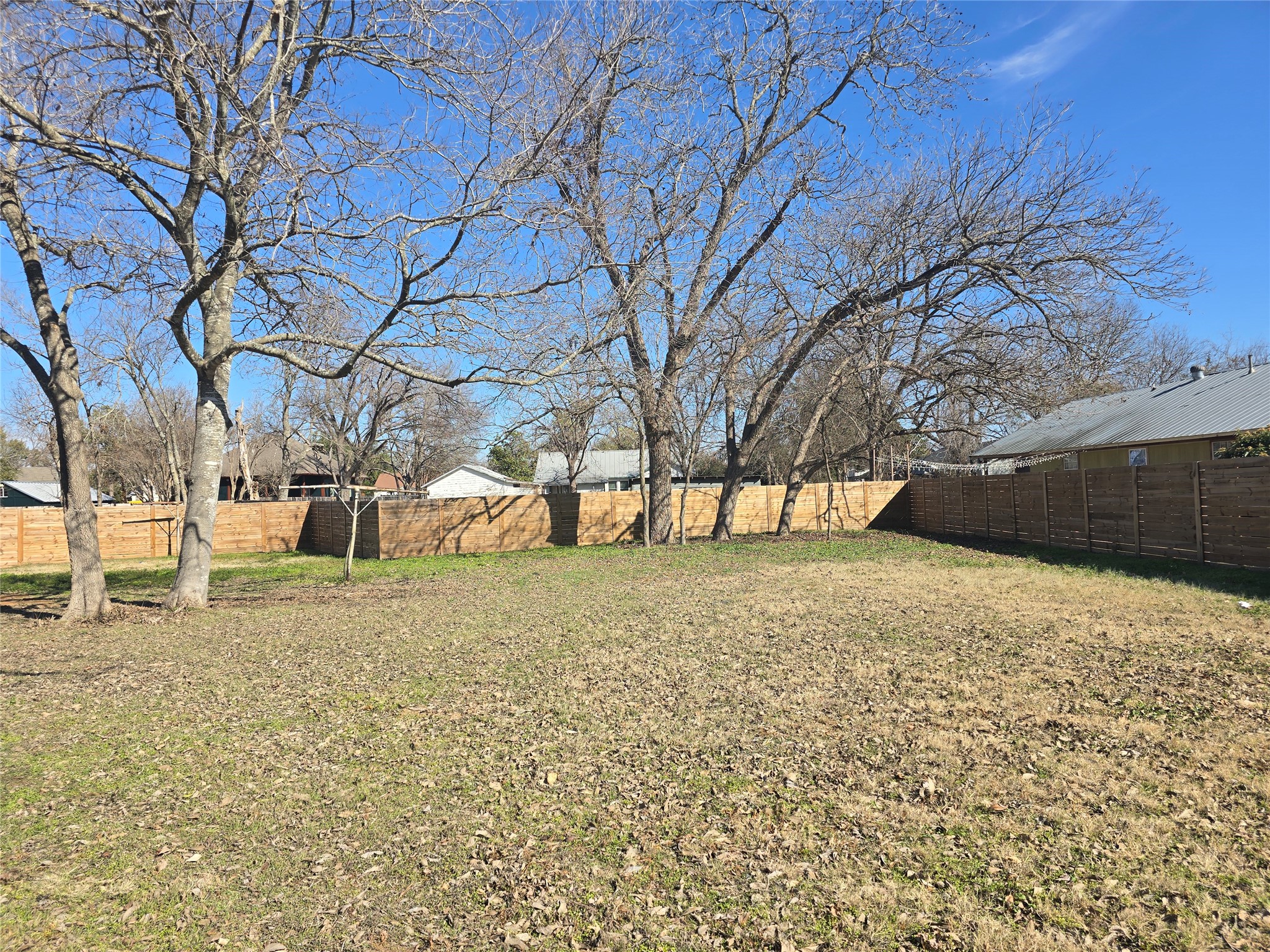 305 Lexington Road Elgin, TX 78621 - Photo 1 of 19 View of yard