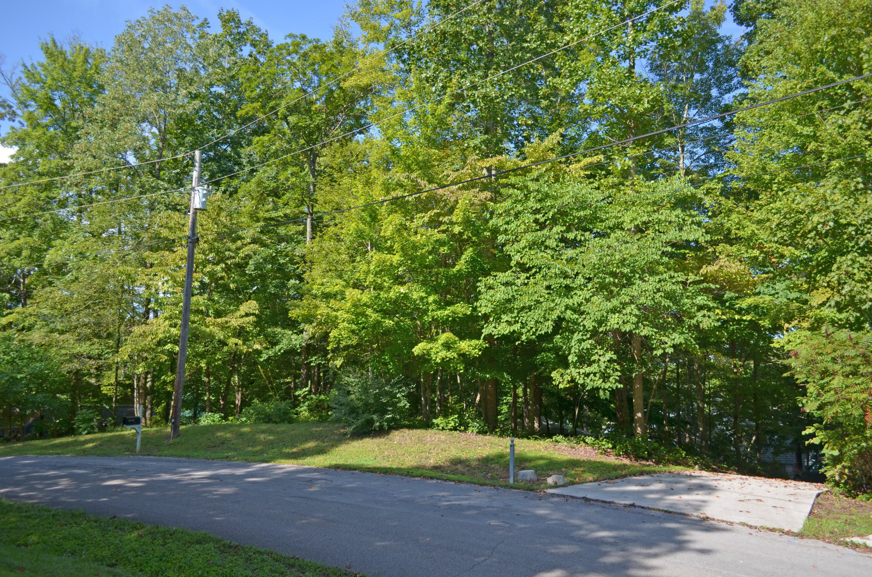1439 Cove Pointe Road La Follette, TN 37766 - Photo 4 of 22 Privacy from the road