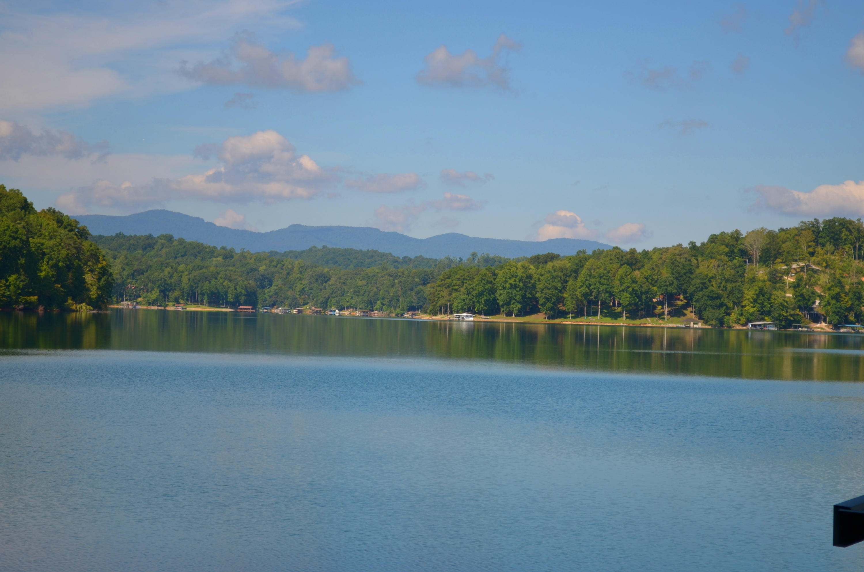 1439 Cove Pointe Road La Follette, TN 37766 - Photo 7 of 22 Close & long distance view