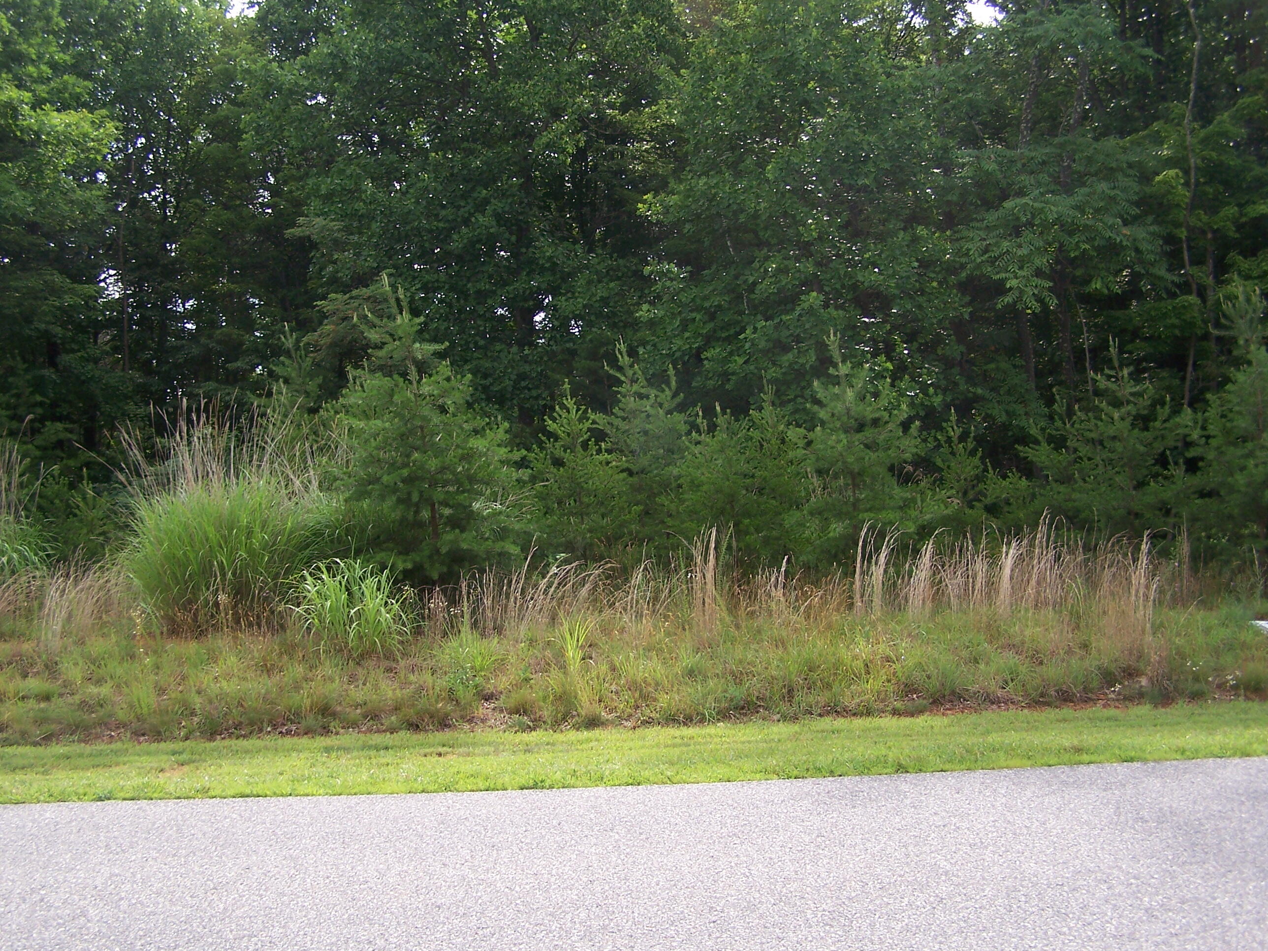 Lot 43 Thornblade Way Blue Ridge, VA 24064 - Photo 1 of 2 Lot 43--1.33 ac