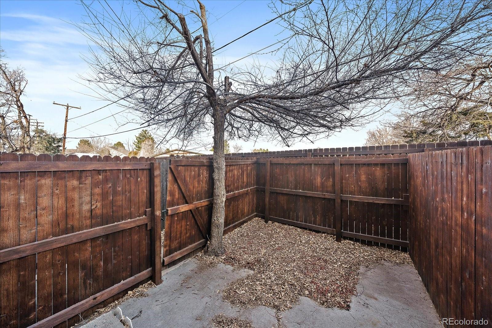 3738 Miller Court Wheat Ridge, CO 80033 - Photo 19 of 20 a view of a backyard