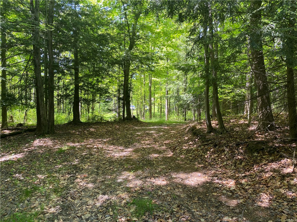 Franklin Road Girard, PA 16417 - Photo 4 of 5