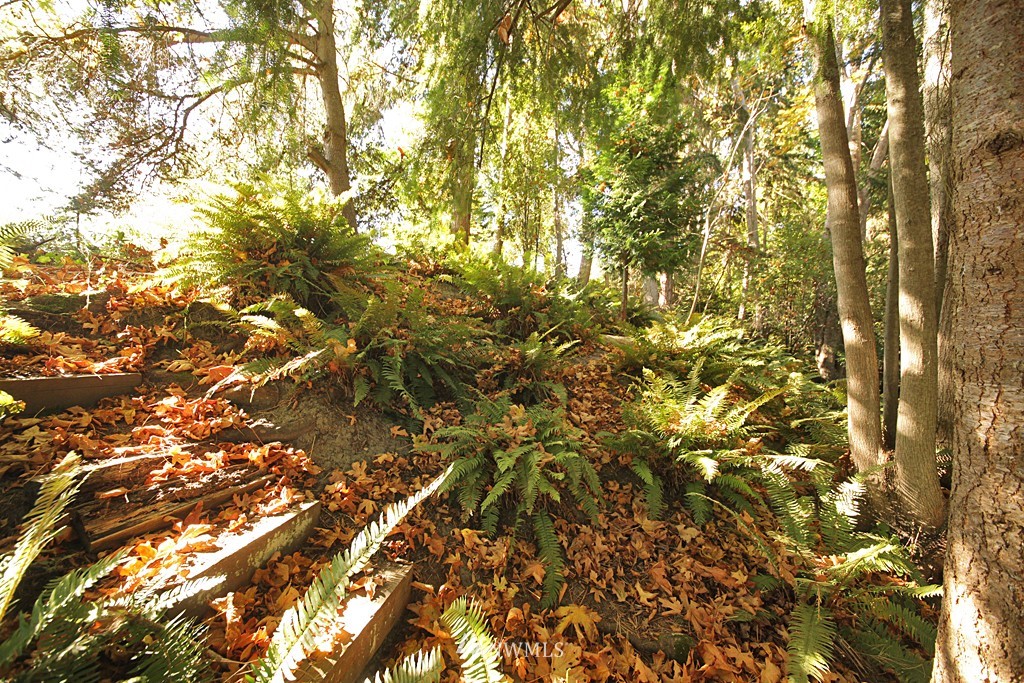 2207 Lancaster Road Freeland, WA 98249 - Photo 14 of 15