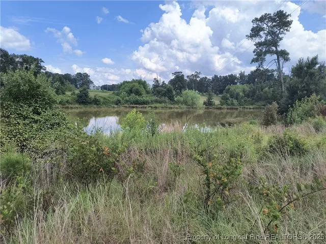 a view of lake with green space