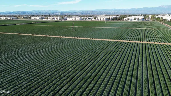 a view of a city with a houses