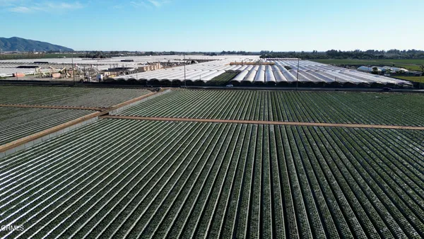 a view of a swimming pool and city view