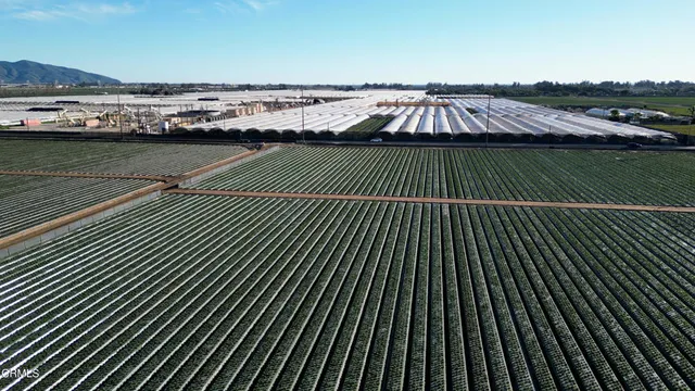 a view of a swimming pool and city view