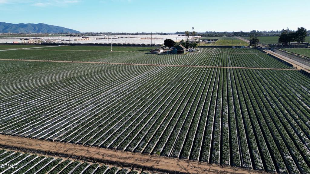 2151 East Wooley Road Oxnard, CA 93030 - Photo 5 of 10 DJI_0843.00_02_02_01.Still003