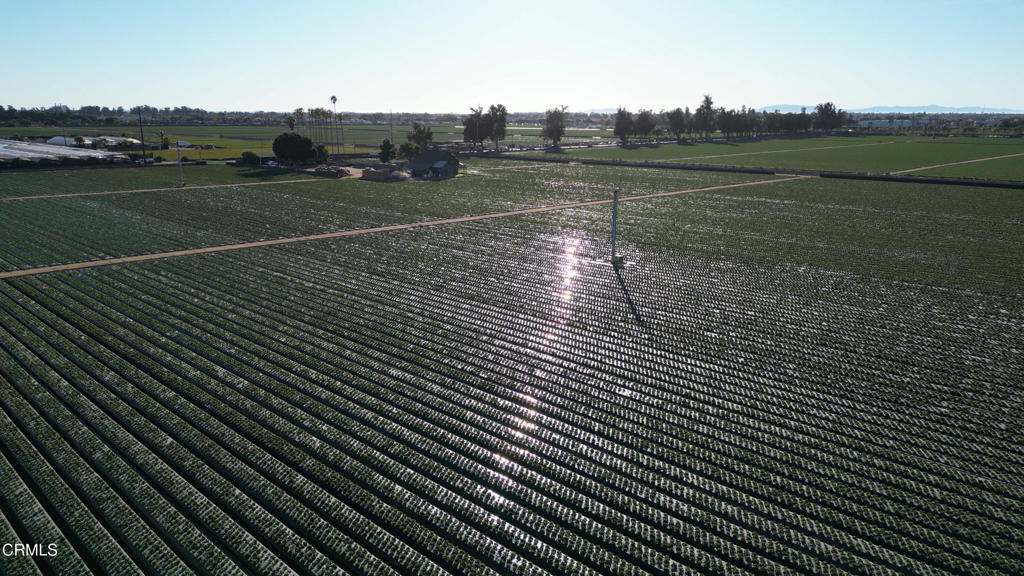2151 East Wooley Road Oxnard, CA 93030 - Photo 6 of 10 DJI_0843.00_03_27_26.Still010 (1)