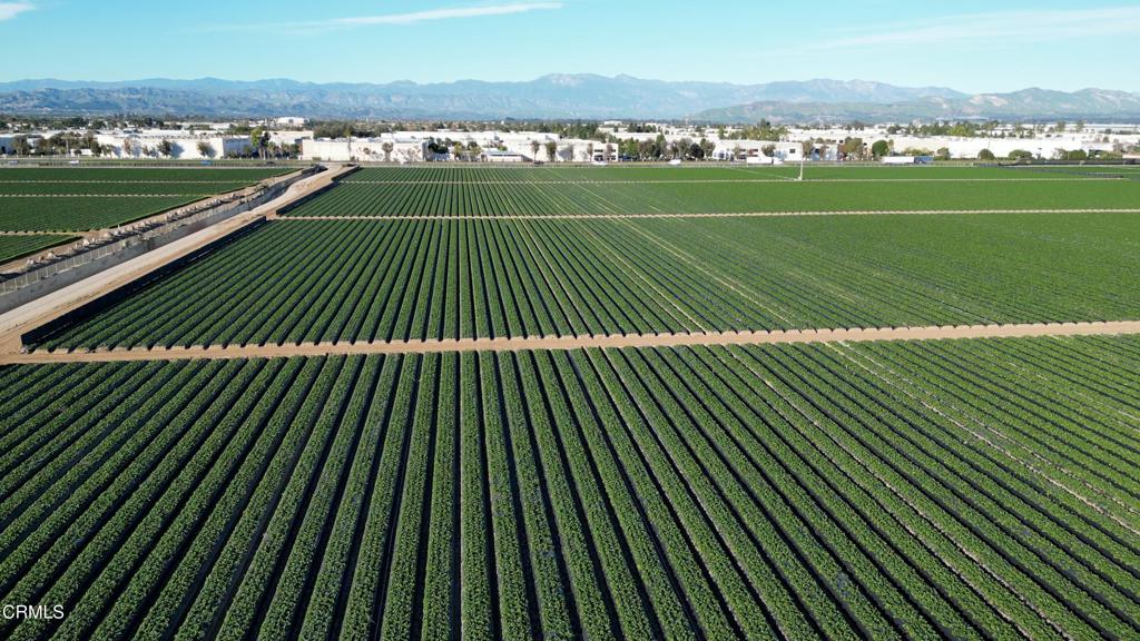 2151 East Wooley Road Oxnard, CA 93030 - Photo 7 of 10 DJI_0843.00_01_45_09.Still001