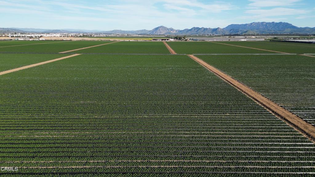 2151 East Wooley Road Oxnard, CA 93030 - Photo 8 of 10 DJI_0843.00_01_53_22.Still005