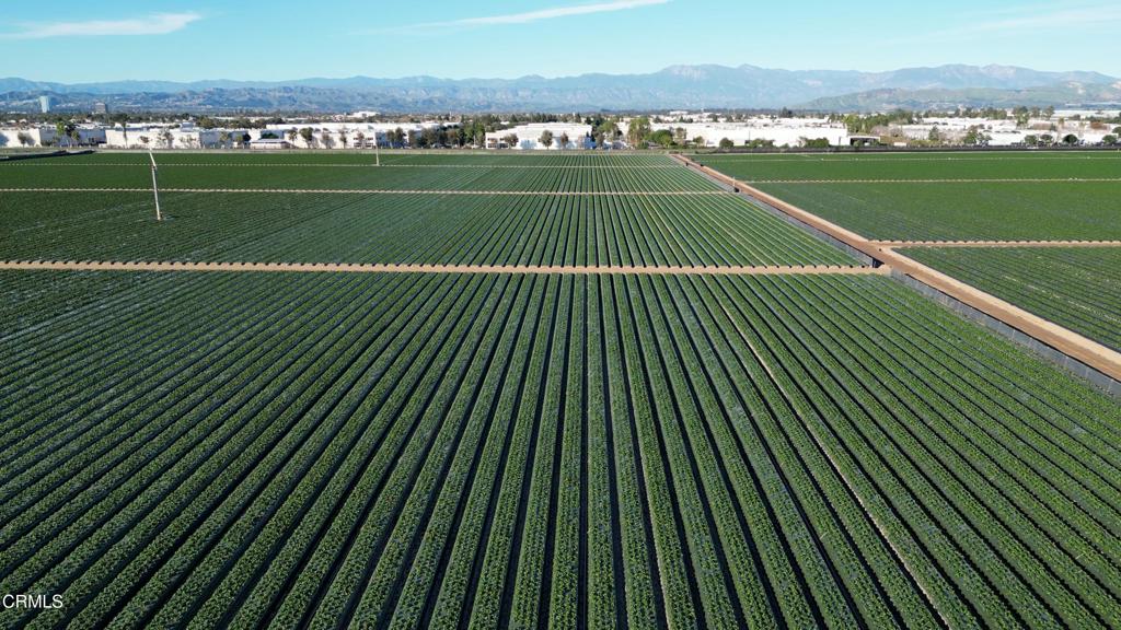 2151 East Wooley Road Oxnard, CA 93030 - Photo 9 of 10 DJI_0843.00_03_08_11.Still006