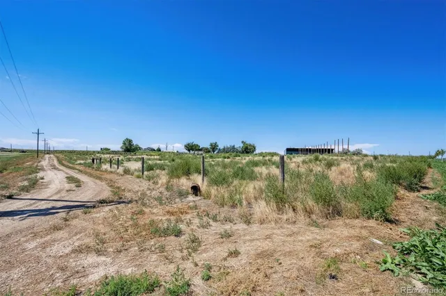 a view of a dry yard with trees