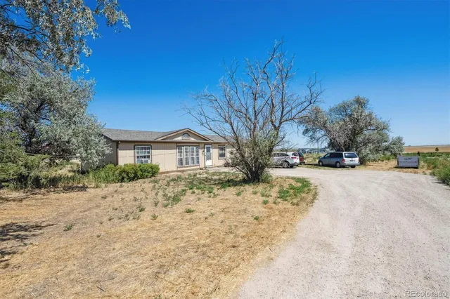 a view of road and trees