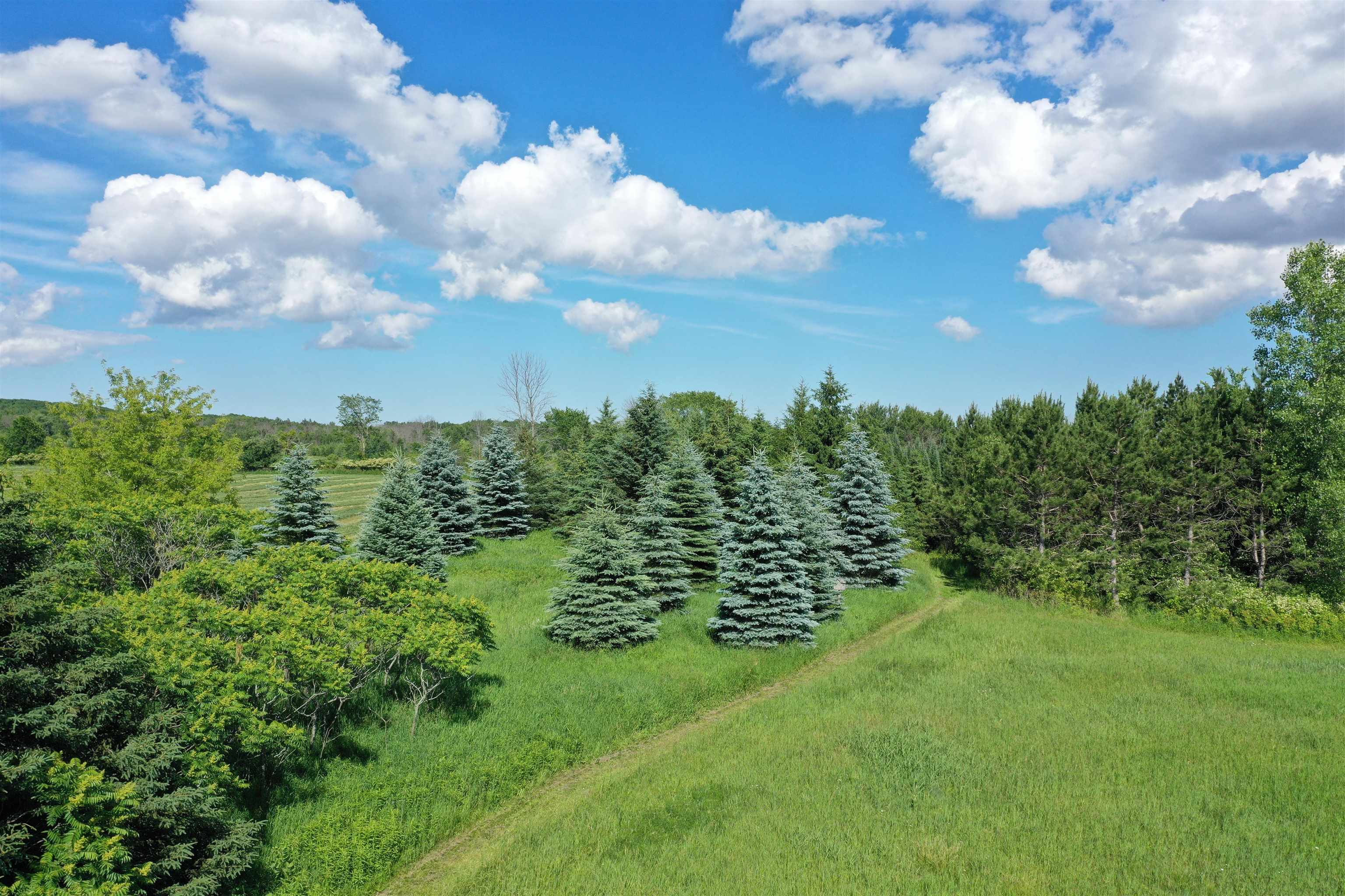 4437 Pine Grove Road Green Bay, WI 54311 - Photo 54 of 60