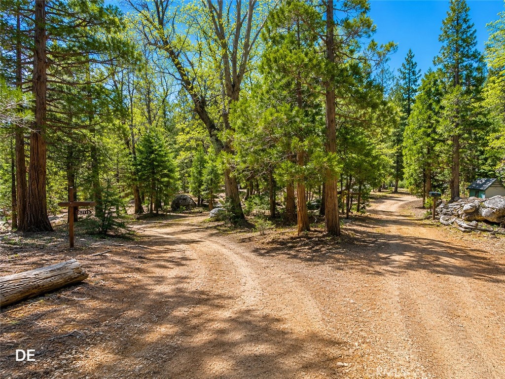 52915 Forest Rte 4S02 Idyllwild, CA 92549 - Photo 16 of 30