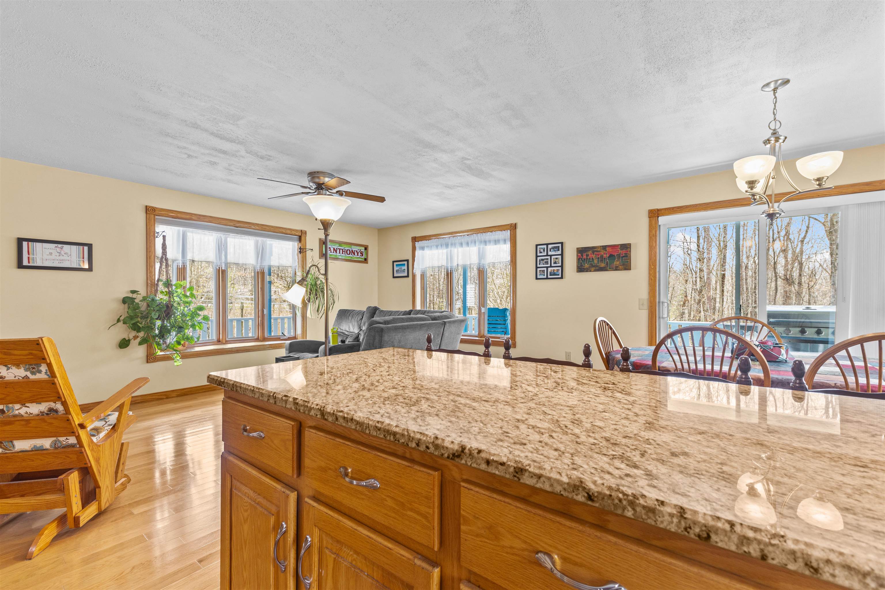 209 Pleasant Valley Road Underhill, VT 05489 - Photo 3 of 25 Gallery Image 3