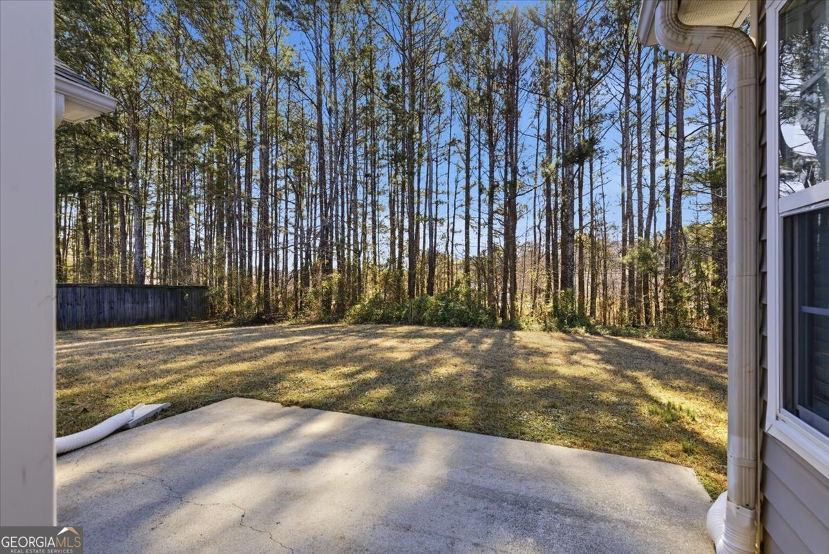946 Damson Trail Hampton, GA 30228 - Photo 32 of 37 a view of outdoor space and yard
