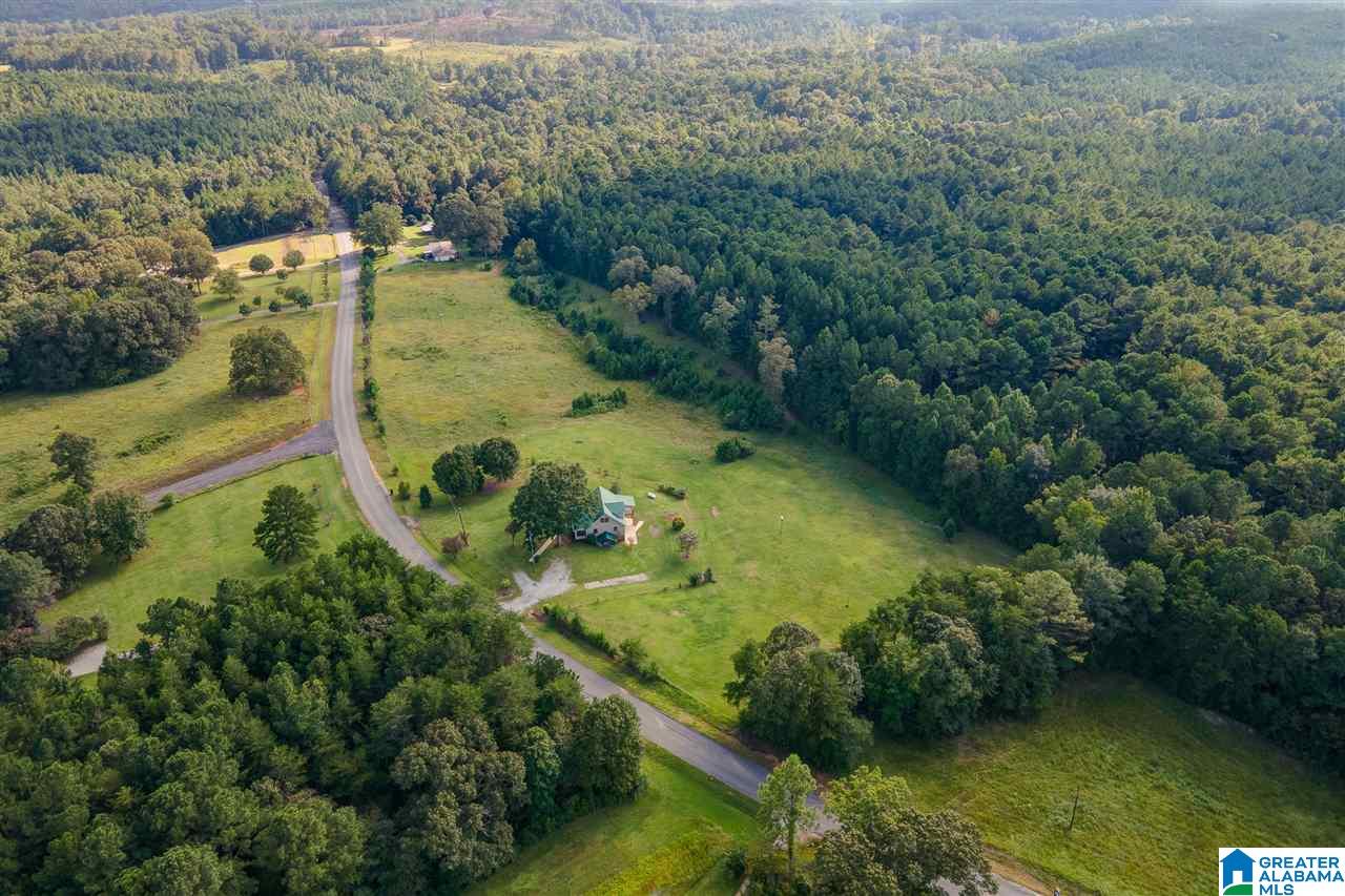 12376 Bama Rock Garden Road Vance, AL 35490 - Photo 10 of 44