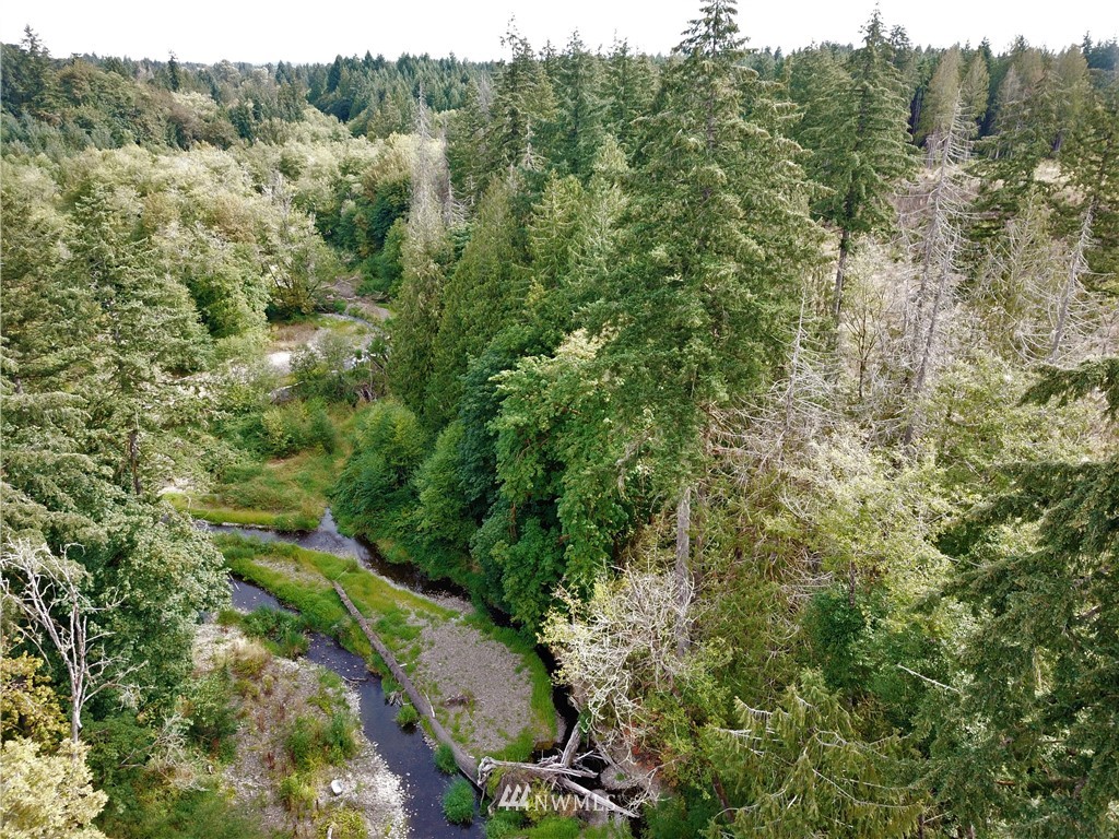 469 Drews Prairie Road Toledo, WA 98591 - Photo 1 of 30