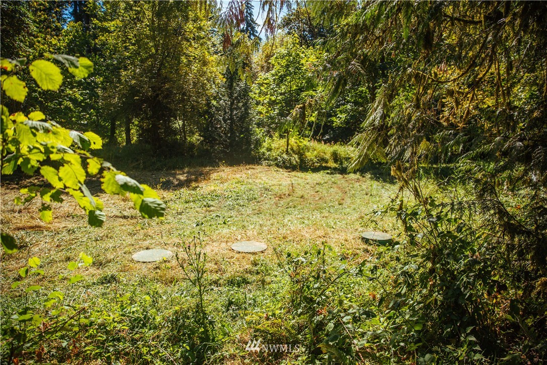 469 Drews Prairie Road Toledo, WA 98591 - Photo 23 of 30